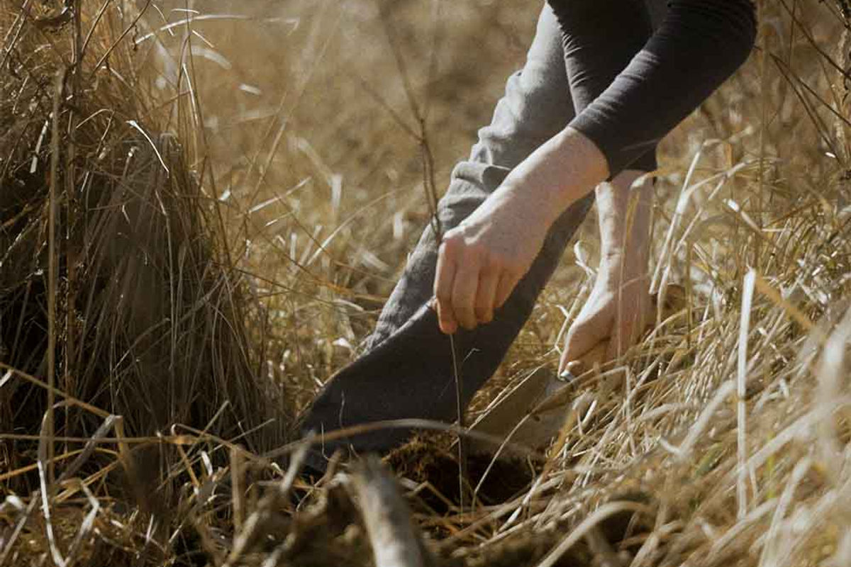 Projekt Harz Impression 2