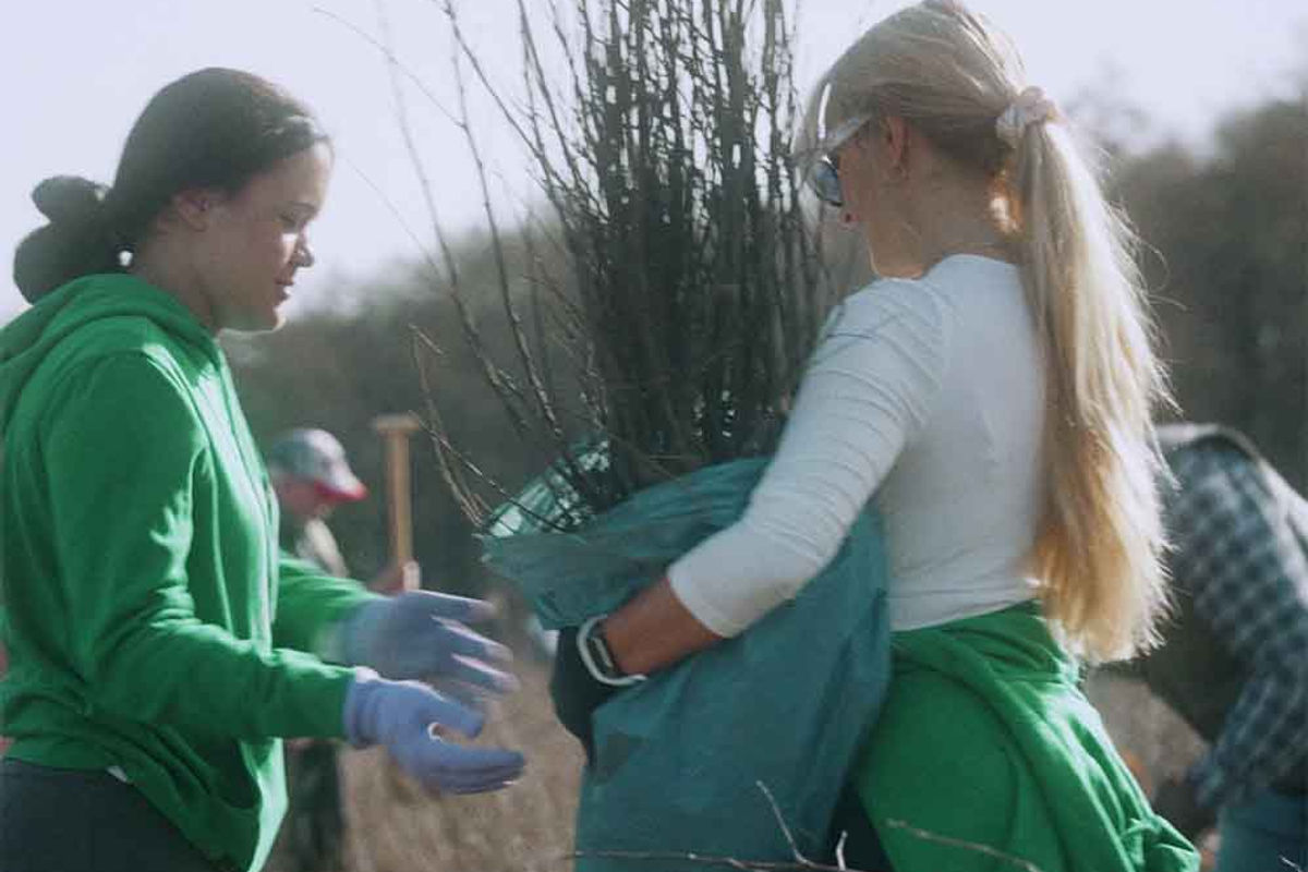 Projekt Harz Impression 3